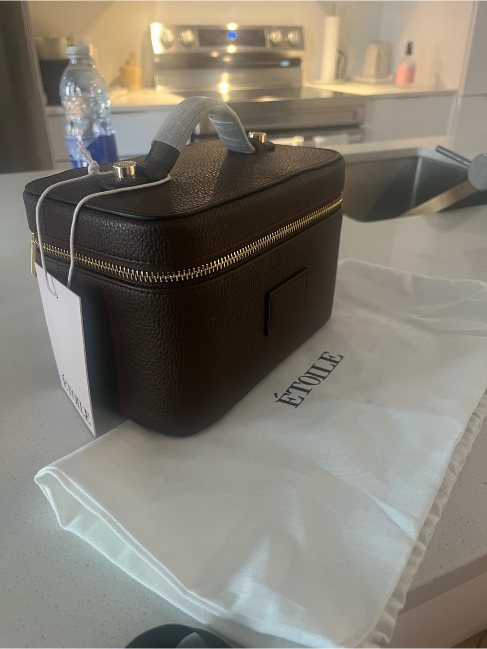 Etoile Dark Vegan Brown Leather Mini Vanity Case Espresso Makeup Bag